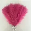 Decoração de quarto de casamento mesmo estilo fogos de artifício simulação flores de junco coloridas penas decoração de cena de casamento bolas de fio coloridas enfeites pendurados