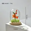Suministro exclusivo transfronterizo de adornos de flores eternas en cúpula de cristal con flor del mes de nacimiento de diciembre, manualidades de plantas verdes de vidrio, venta al por mayor de fabricante