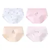Roupa Íntima Infantil para Meninas, Cuecas Boxer de Algodão Puro Antibacteriano Classe A no Atacado, Calcinhas Infantis, Calcinhas Triângulo para Crianças Pequenas, Cuecas Boxer Infantis Tamanho Médio e Grande
