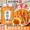 Nanjing Tongrentang Meigege Fabricante Original Flor de Cordyceps Sopa Nutritiva Grado Especial Pollo Estofado de Yunnan Productos Secos Champiñones