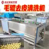 Máquina Limpiadora de Cepillos Personalizada para Camotes y Papas, Máquina Peladora de Cepillos para Orejas de Cerdo, Patas de Cerdo, Hierbas Medicinales Chinas, Raíz de Loto y Jengibre