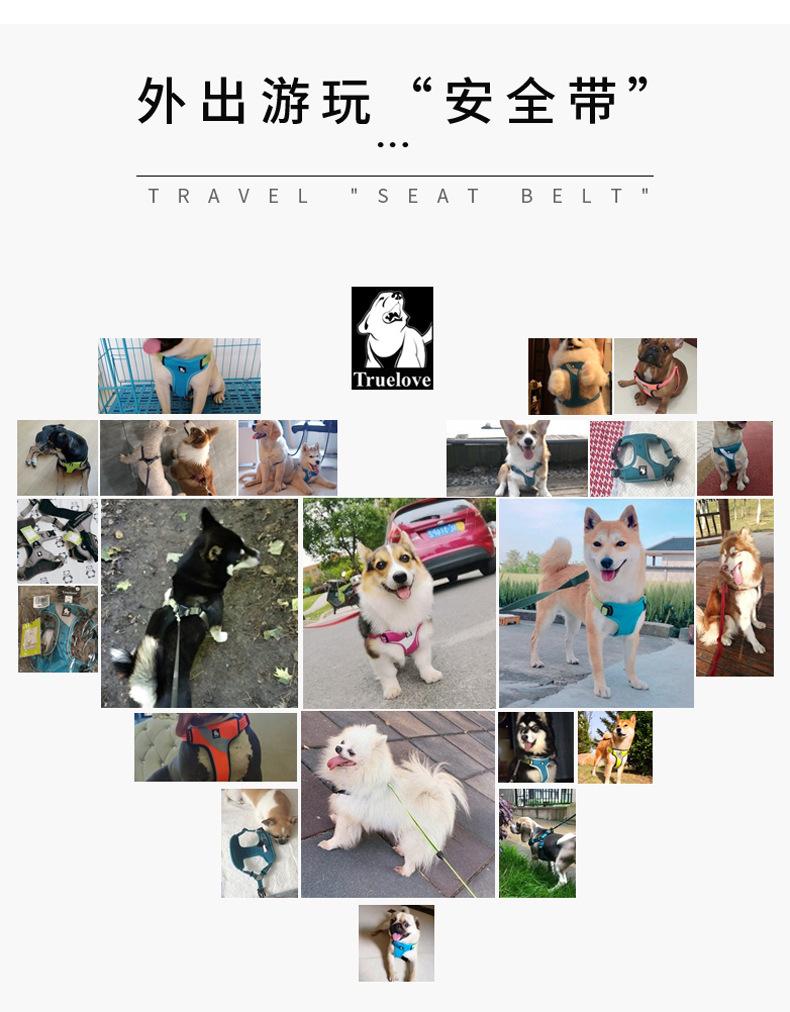 5遛狗绳_13