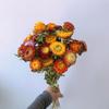 Fábrica de buquê de flores secas de crisântemo colorido atacado abacaxi crisântemo palha crisântemo margarida buquê de flores secas artesanais decoração