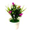 Flores Artificiales Simuladas en Maceta 5 Lirios de Calas Pequeño Bonsái Boutique Artículos Más Vendidos Adornos de Decoración para el Hogar Artificiales de Alta Calidad