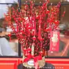Flores Secas de Sauce Plateado Atractoras de Fortuna, Flores Reales, Ramas Frescas, Plantas Hidropónicas, Sauce Plateado Rojo, Flores de Año Nuevo, Cubo de Fortuna, Decoración Interior para Sala de Estar