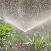 Bico ajustável em forma de bala de 4 pontos para remoção de poeira em canteiros de obras, atomização, resfriamento de telhados, pulverização de árvores frutíferas e jardins