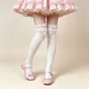 Calcetines de Algodón Puro con Cordones hasta Media Pantorrilla para Mujer, Calcetines de Encaje con Cinta para Primavera y Verano hasta la Rodilla, Calcetines de Pantorrilla Lolita
