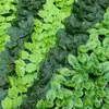 Pared de Planta Artificial Valla de Hojas Verdes Decoración Plantas Verdes Tubo de Escalera Techo de Balcón Cubierta para Barandilla de Valla de Patio