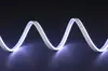Luces de Neón LED Modificadas Personalizadas para Fabricantes 12V6 * 12mm2835120 Lámpara de Neón Modificada con Alto Brillo