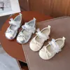 Zapatos de Cuero con Adorno de Encaje Dulce Estilo Lolita para Niñas 2026 Otoño Nuevo Suela Suave Estilo Ballet Mary Jane Zapatos de Princesa