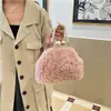 Bolsa transversal de pelúcia felpuda vintage para outono e inverno para mulheres, novo modelo 2026, bolsa de mão concha com fecho de corrente de pérolas