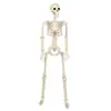 Colgante Decorativo de Esqueleto Artificial de Halloween Accesorios Esqueleto Humano de Plástico Esqueleto Puede Pararse con Articulaciones Móviles