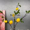 Rama de limón de fruta y verdura artificial estilo europeo fresca para el hogar decoración suave decoración de hotel sabor anual flor artificial arreglo floral de limón
