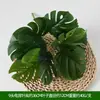 Planta de Simulação Planta Verde Planta em Vaso Material de Combinação para Parede Decoração Folha de Simulação Cola Folha de Lótus Verde Grama Artificial