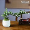 Bonsai de Neve Seis Folhas com Galhos Flutuantes para Decoração de Mesa Interna de Escritório ou Sala de Chá, Planta Pequena em Vaso Fácil de Cuidar