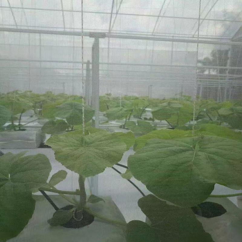 微信图片_20240716085554_副本