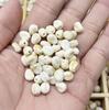 Carcasa acrílica tipo guijarro pequeño irregular con forma natural, cuentas para cadena de teléfono móvil hecha a mano DIY, accesorios para collar, venta al por mayor