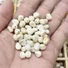 Venta Caliente Transfronteriza Colgante de Perla de Imitación de Concha Acrílica Colgante de Mariposa Estrella de Mar Caracola Accesorios de Ropa DIY Venta al por Mayor