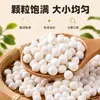 Perlas de Tapioca Grandes Seleccionadas Llenas y Masticables Ingrediente para Bebidas con Jarabe Ingrediente para Postres de Cinco Granos Fuente del Fabricante Venta al por Mayor Venta al por Menor