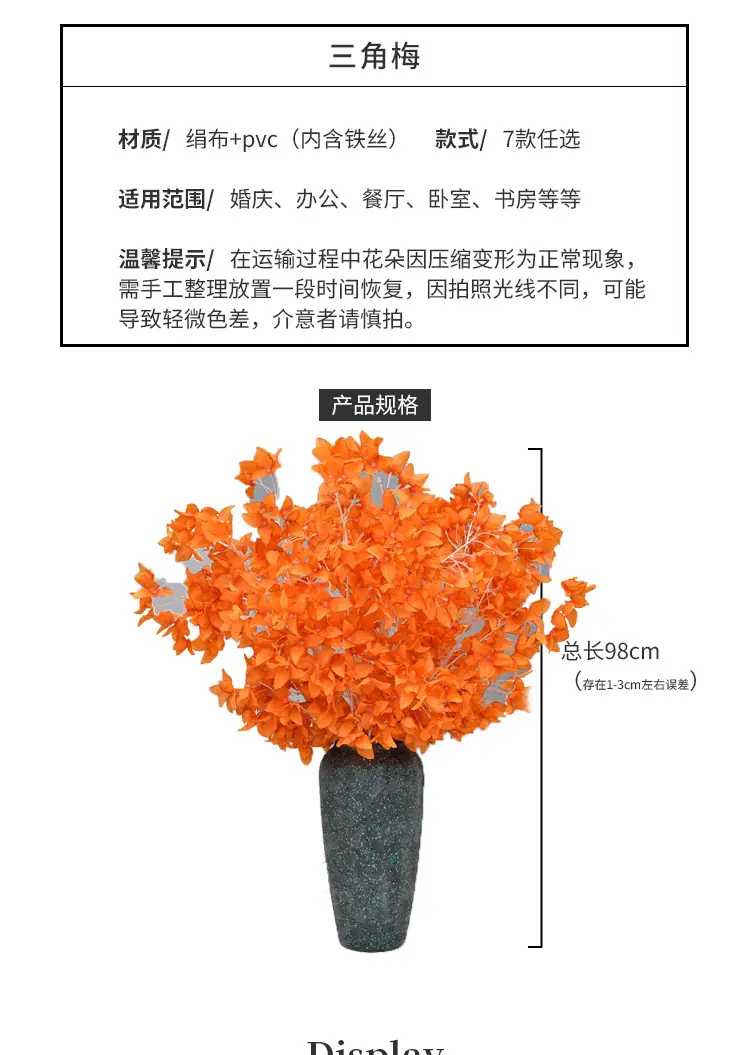 三角梅_04.jpg