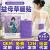 Adesivos Quentes, Adesivos Autoaquecíveis de Extrato de Planta Herbal de Losna, Adesivos de Proteção Contra o Frio de Inverno e Aquecimento Corporal, Adesivos para Aquecer Joelhos e Cintura