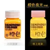 Pigmento Luminoso Tinta Infantil Grafite Conjunto de Pigmentos Brilhantes Pintura Manual DIY Roupas e Sapatos Boneco de Gesso Pigmento Fluorescente