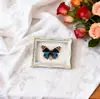 Mariposa Ojo de Esmeralda Azul Mariposa Real Imán para Refrigerador Espécimen Marco de Fotos Terminado Regalo de Gama Alta Pintura Decorativa