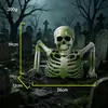 Decoração de Halloween Meio Esqueleto Transfronteiriça Cenário de Festa Ornaments de Mesa Modelo Realista de Esqueleto Humano