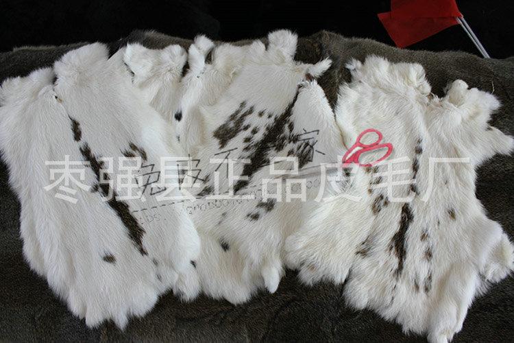 IMG_8581.JPG