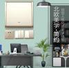 Schneider Enchufe Interruptor Serie Fengshang Lujo Dorado Dos/Tres Clavijas Cinco Agujeros Panel de Pared Set Integral para el Hogar