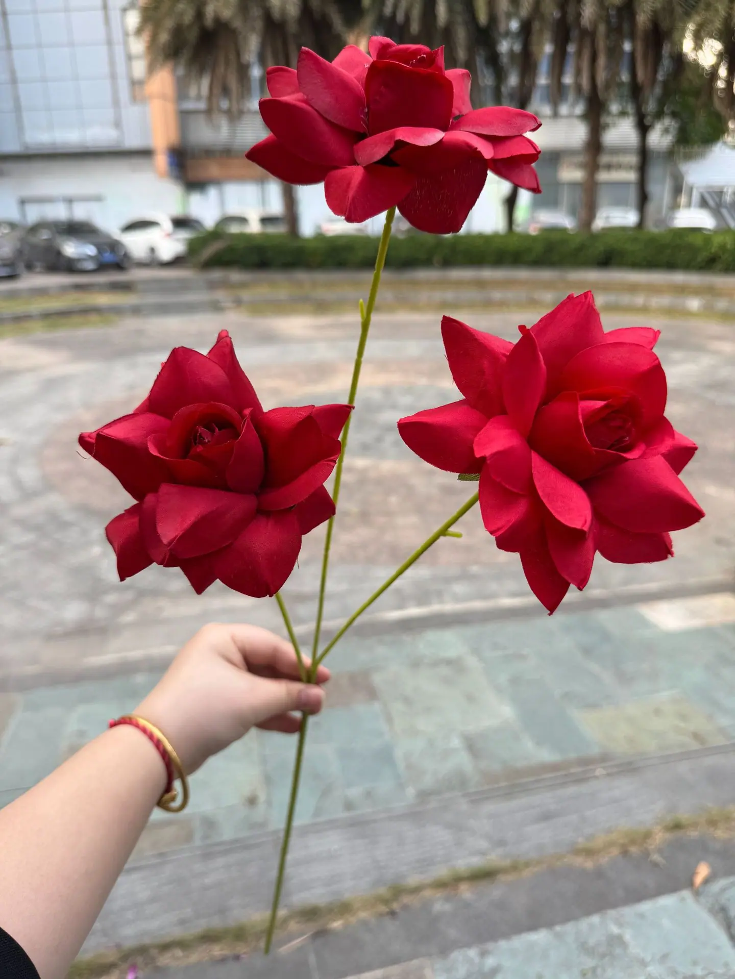 24 (3).jpg