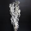 Flor de Fugui Ye Yongsheng blanqueada, flores secas, material de bricolaje, accesorios de fotografía de floricultura para bodas, fábrica al por mayor