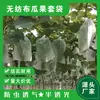 Sacos de Frutas Não Tecidos, Sacos para Uvas para Proteção Contra Pássaros, Insetos e Impermeabilização, Sacos Especiais para Frutas com Fio de Amarração, Sacos para Viveiros em Estoque