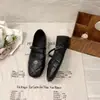 Sapatos Mary Jane Elegantes Vintage com Salto Bloco Quadrado para Mulheres, Estilo Francês para o Trabalho, Coleção Primavera 2026 Camélia, Afinando, com Tira Única