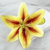Produtos Novos Transfronteiriços Simulação Flores de Lírio Fileira de Flores Rua Flor de Liderança Arranjo de Flores Parede Decorativa de Flores Arranjo de Design Floral DIY Flores Artificiais
