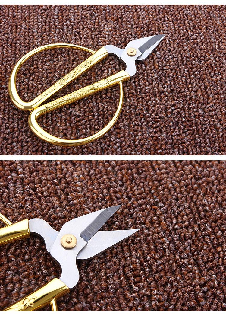 4698082480_1078165338