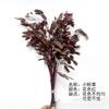 Flores Secas de Yunnan, Flores Inmortales, Liquidación de Gran Valor, Productos Defectuosos Menores