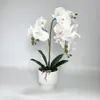 2 Tenedores 12 Flores Phalaenopsis en Maceta Oficina en Casa Escritorio Flor Artificial Bonsái Película de Mano Flor Falsa Accesorios de Fotografía