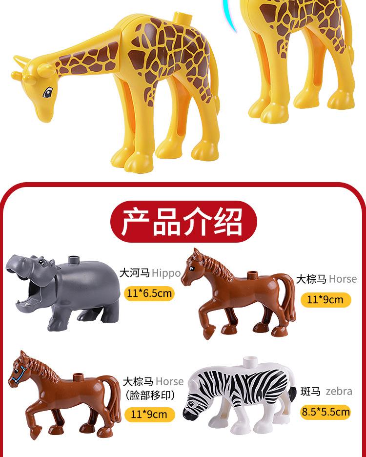 动物详情_07