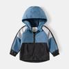 Atacado de Moda Infantil Outono e Inverno 2023 Jaqueta com Capuz para Meninos Camisa com Zíper Forrada de Fleece para Bebê Peça Única Drop Shipping Tendência