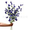 Conteniendo Yang Nueva Rama Alta Piso Flor Artificial Flor Campana Grande Flor Campana Pequeño Viento Fresco Campanas Lirio de Hierba Violeta