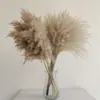 Buquê de Limpeza com Flores Secas e Juncos Flores Reais Secas Decoração de Casa Pousada Pequeno Escandinavo Transfronteiriço Buquê Seco