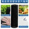Fornecimento Transfronteiriço de Tela Hexagonal Revestida de Plástico Preto para Gaiolas de Criação de Frango, Arranjos Florais DIY e Decoração de Interiores