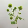 Bolas de Cebolla Simuladas, Frutos de Castaño, Planeta Azul, Frutos de Diente de León, Frutas Falsas, Decoración Floral de Boda, Arreglo Floral y Materiales Vegetales