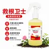 Solução Enraizadora Root Guardian: Tratamento de Emergência para Podridão das Raízes e Murcha em Árvores Frutíferas e Vegetais, Fertilizante Solúvel em Água para Enraizamento, Atacado do Fabricante