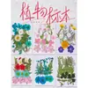 Paquete de Materiales DIY de Flores Secas Flores Prensadas Hechas a Mano Flores Conservadas Marcadores de Libros de Flores Prensadas Hojas de Árbol Real Plantas Pegatinas de Resina Maquillaje Facial