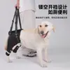 Fornecimento Transfronteiriço de Cintos de Suporte para Patas Traseiras de Cães Idosos e Deficientes, Guia Refletora para Animais de Estimação para Reabilitação e Viagem, Atacado