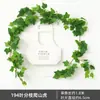 Decoração Folha de Rabanete Verde de Rattan Folhas de Árvore Falsas Cipós Verdes Cipós de Flor de Plástico Tubos de Água Dutos de Ar Condicionado Cobertura Folhas Verdes