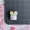 Animal Lindo Planta con Maceta Flores Resina Accesorios Pasador Accesorios para el Cabello Zapato con Agujero Hebilla Joyería Decorativa Hecha a Mano Material