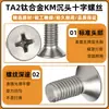 Ta2 Titanio Puro Aleación de Titanio Tornillo de Cabeza Avellanada de Cruz Tornillo de Cabeza Plana Perno Fábrica M2M2.5M3M4M5M6M8